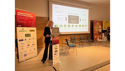 Foto de Eficiencia en el uso de recursos en frutos rojos: ejemplos y estrategias desde la experimentacin