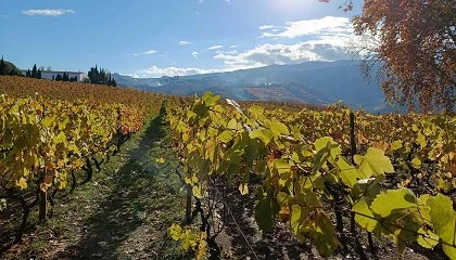 Foto de Os microrganismos s�o o motor da agricultura do futuro