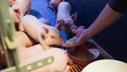 Foto de JARC exige ms proteccin para los productores ante el bloqueo de las exportaciones