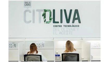Foto de El COI reconoce a Citoliva como uno de los mejores laboratorios de anlisis sensorial