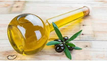 Foto de La Ctedra Caja Rural de Jan presenta el 'Informe de Coyuntura Olecola 2025'