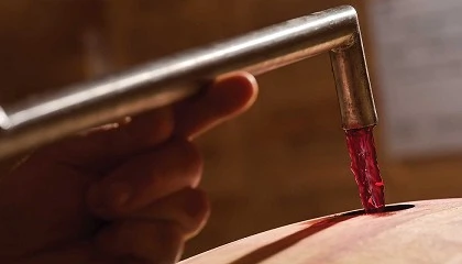 Foto de La fase post-fermentativa: �oportunidad o riesgo para el vino?