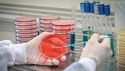 Foto de Desaf�os en la detecci�n de bacterias pat�genas en estado viable pero no cultivable (VBNC) en la industria alimentaria