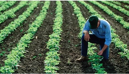 Foto de Lubricantes Moeve: juntos impulsamos una imagen m�s sostenible y reconocible