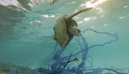 Foto de Del mar al laboratorio: plásticos transformados en energía limpia, materiales de depuración de aguas y biocombustibles