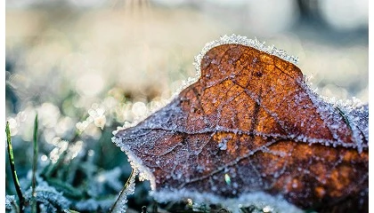 Foto de Así debes preparar tu sistema de riego para el invierno, según Rain Bird