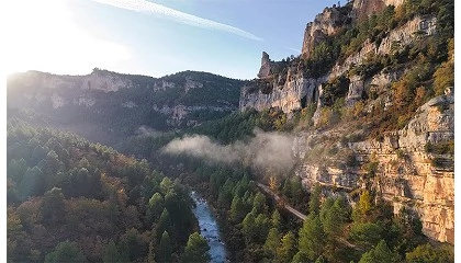 Foto de Bosque Innova impulsa economía local y conservación forestal en uno de los territorios más despoblados de España