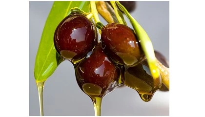 Foto de Cooperativas Agro-alimentarias de Espaa reivindica la retirada de los aranceles de EE. UU. a la aceituna negra espaola