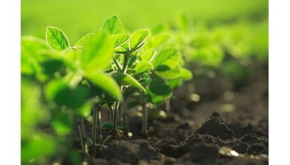 Foto de Acuerdo provisional en Bruselas sobre las nuevas tcnicas genmicas en agricultura