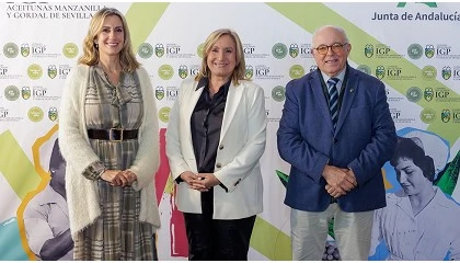 Foto de Defensa de la aceituna manzanilla y gordal por el Consejo Regulador y los agricultores