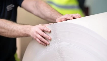 Picture of Co-creacin: cuando la visin se encuentra con la precisin en cada hoja