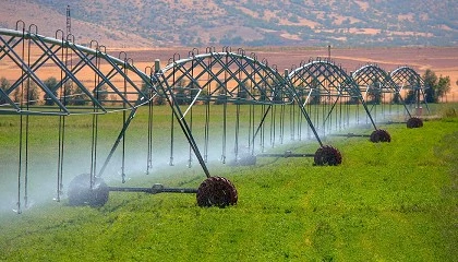 Foto de Regadio exige lugar na governao da gua