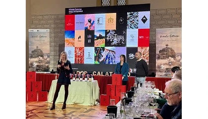 Foto de Una veintena de Masters of Wine recorren Espaa para conocer el potencial de la Garnacha