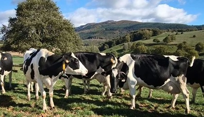 Foto de Presentacin de resultados del proyecto Larresne sobre pastoreo inteligente y digitalizacin