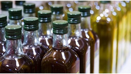 Foto de La entrada del aceite 'fantasma' tunecino destroza los precios, según Jarc