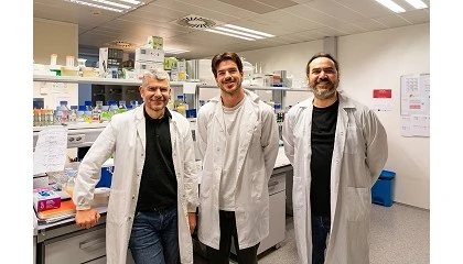 Foto de Un estudio plantea nuevas estrategias para mejorar el valor nutricional de los cultivos