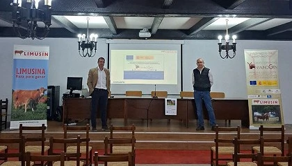 Foto de La asociación de raza Limusín analiza los avances en su programa de mejora genética