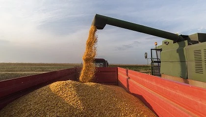 Foto de Nova Estratgia do Ministrio da Agricultura visa aumentar o autoaprovisionamento de cereais