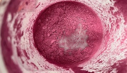 Foto de Colorantes naturales de arndano ms estables para alimentos y bebidas