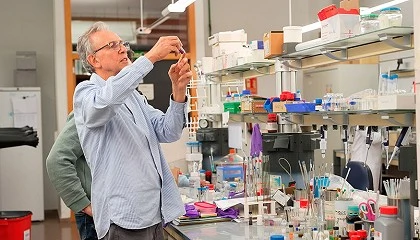 Fotografia de La UV investiga c�mo crear el �cerebro� de los ordenadores cu�nticos del futuro