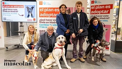 Foto de La Comunidad de Madrid lanza la campa�a 'El Plan es Adoptar' para fomentar la tenencia responsable de animales de compa��a