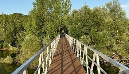 Foto de Tarima de bambú Dasso para la nueva pasarela peatonal del embalse Ullíbarri-Gamboa