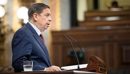 Foto de El MAPA se afana en mantener los mercados abiertos para sostener los precios del porcino