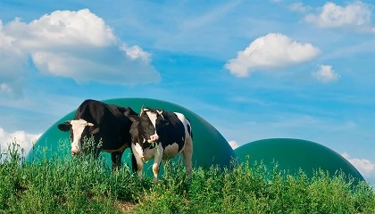 Foto de EBA analiza el avance del biogs y el biometano en Europa