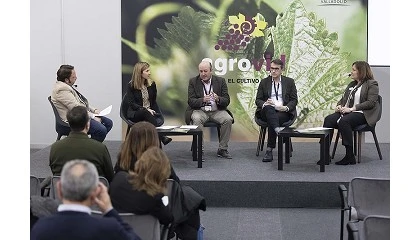 Foto de Agrovid y SIEB abordar�n en Valladolid los principales retos del sector vitiv�nicola