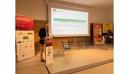 Foto de Freshuelva prevé un aumento del 1% en la superficie cultivada de berries, con 12.388 hectáreas