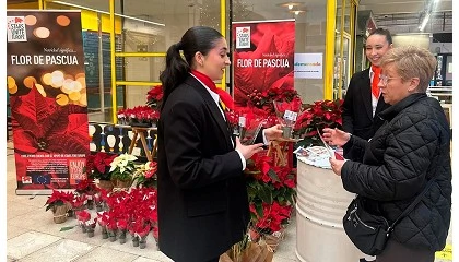 Foto de El Mercado de San Fernando se llena de poinsettias en una jornada festiva y educativa