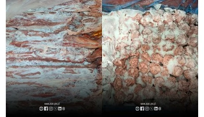 Foto de ASAE deteta graves irregularidades em sala de desmancha de carnes