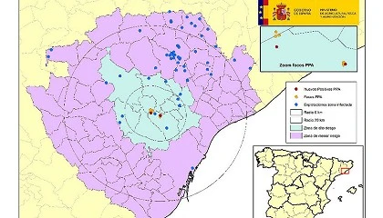 Picture of España continúa sin incidencia en granjas de porcino tras el primer caso de peste porcina del 26 de noviembre