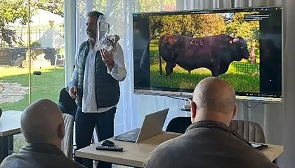 Foto de Aplicaci�n de tecnolog�as gen�micas en la mejora de la calidad de carne y la salud de la raza Retinta