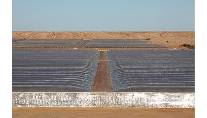 Foto de Fepex avisa de que los productores de tomate del Sahara tendrán concesiones inéditas y financiación comunitaria
