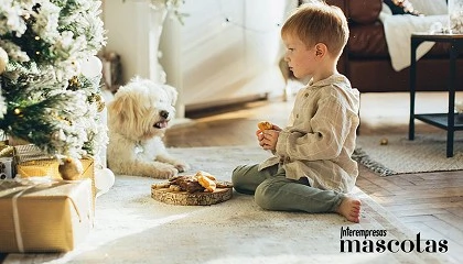 Foto de Concienciar y educar antes de adoptar: el mejor regalo para nuestros hijos estas Navidades