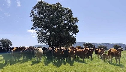 Foto de Secuesvac inicia la fase de c�lculo del secuestro de carbono org�nico en el suelo