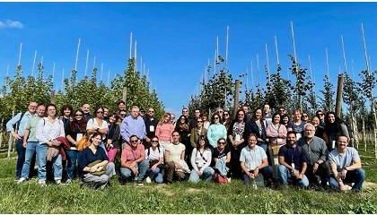 Foto de Proyecto BeXyl: avances en la lucha contra Xylella fastidiosa
