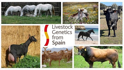 Foto de Livestock Genetics from Spain refuerza su estrategia internacional para 2026