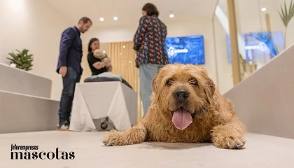 Foto de Grupo Albia y �ltima presentan Artemis, su nueva l�nea de despedida para mascotas