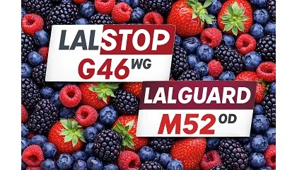 Foto de Mass� Agro: la innovaci�n y liderazgo en microorganismos beneficiosos entra con fuerza en los frutos rojos