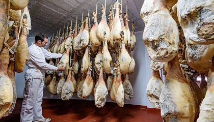 Photo de Las jamoneras facturan hasta un 70% en una Navidad, con el ibérico de bellota más barato