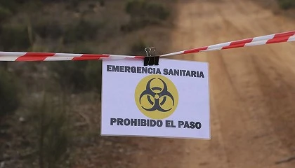 Foto de Los científicos analizan el tamaño de las zonas de contención para evitar la salida de jabalíes
