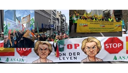 Foto de Miles de agricultores europeos protestan en Bruselas contra los recortes de la PAC y el acuerdo con Mercosur