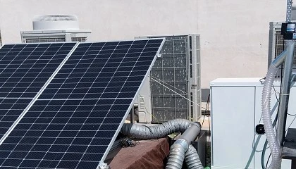 Foto de La Universidad de Murcia impulsa el secado de alimentos con energ�as renovables y huella de carbono negativa