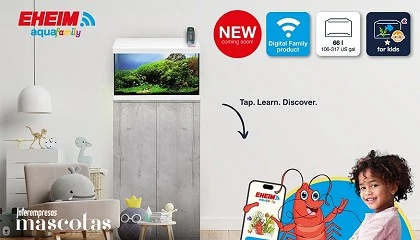 Foto de EHEIM aquafamily: un acuario inteligente y seguro para familias con ni�os