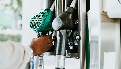 Foto de CEEES aplaude el giro de la Comisión, pero demanda una neutralidad tecnológica real para alcanzar la neutralidad climática