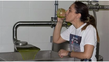 Foto de Entrevista a Consoli Molero, gerente de Colival