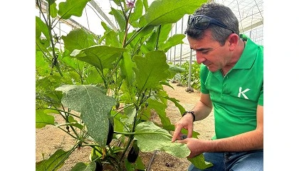 Foto de El Parlamento Europeo apoya un acceso m�s r�pido al biocontrol