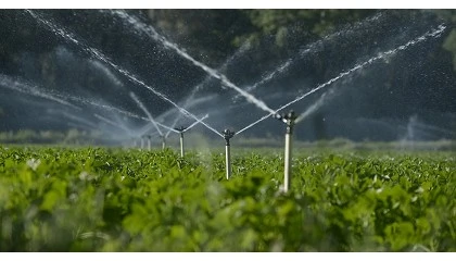 Foto de Agricultura y Seiasa ampl�an el convenio de modernizaci�n de regad�os con una inversi�n de 96,8 millones